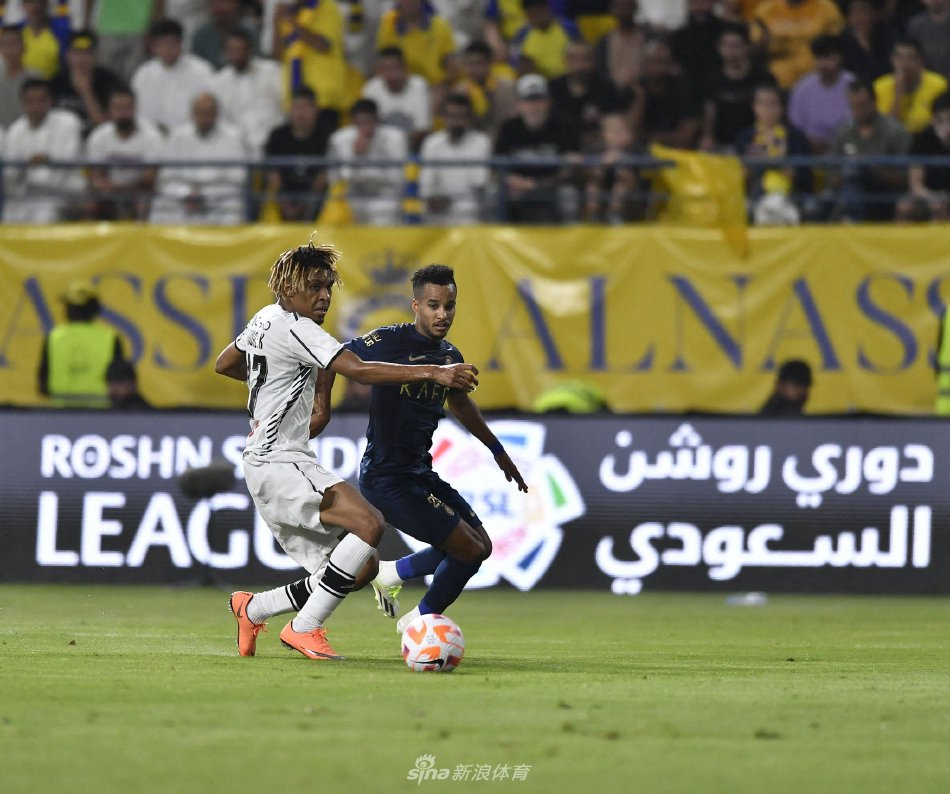 的声誉增添 的声誉增添